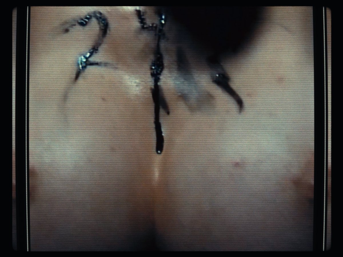 7PM CET 💀 fansly.com/TheCarnalCamera