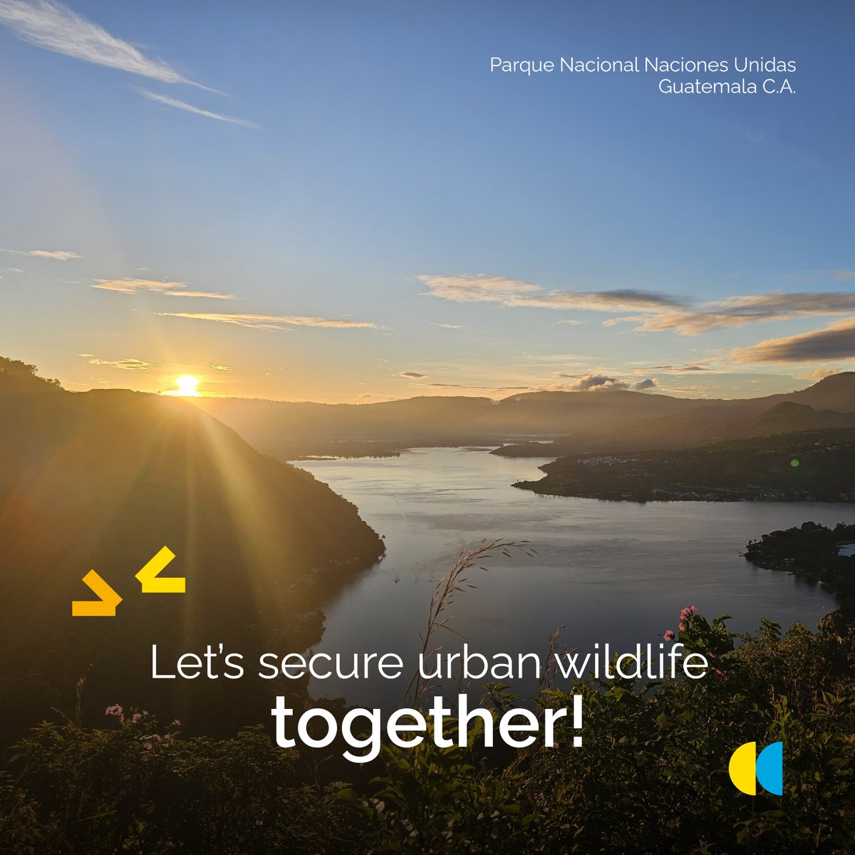 Defensores de la Naturaleza (@defensores_fdn) on Twitter photo Duplicate your donation! 🙌🌳
Help protect Guatemala's precious wildlife habitats.
conservationallies.org/partners/defen…
#DoubleForNature 🫶💚
#GivingTuesday
<a href="/GivingTuesday/">GivingTuesday</a> Duplicate your donation! 🙌🌳
Help protect Guatemala's precious wildlife habitats.
conservationallies.org/partners/defen…
#DoubleForNature 🫶💚
#GivingTuesday
<a href="/GivingTuesday/">GivingTuesday</a>