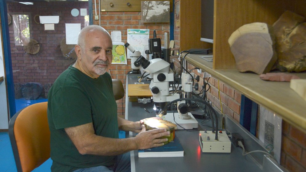 🔵Investigador del CONICET fue incorporado a la International Academy of Wood Science

Se trata de Fidel Roig, reconocido por sus contribuciones al estudio en ciencias de la madera.

Nota completa👉 mendoza.conicet.gov.ar/blog/investiga…