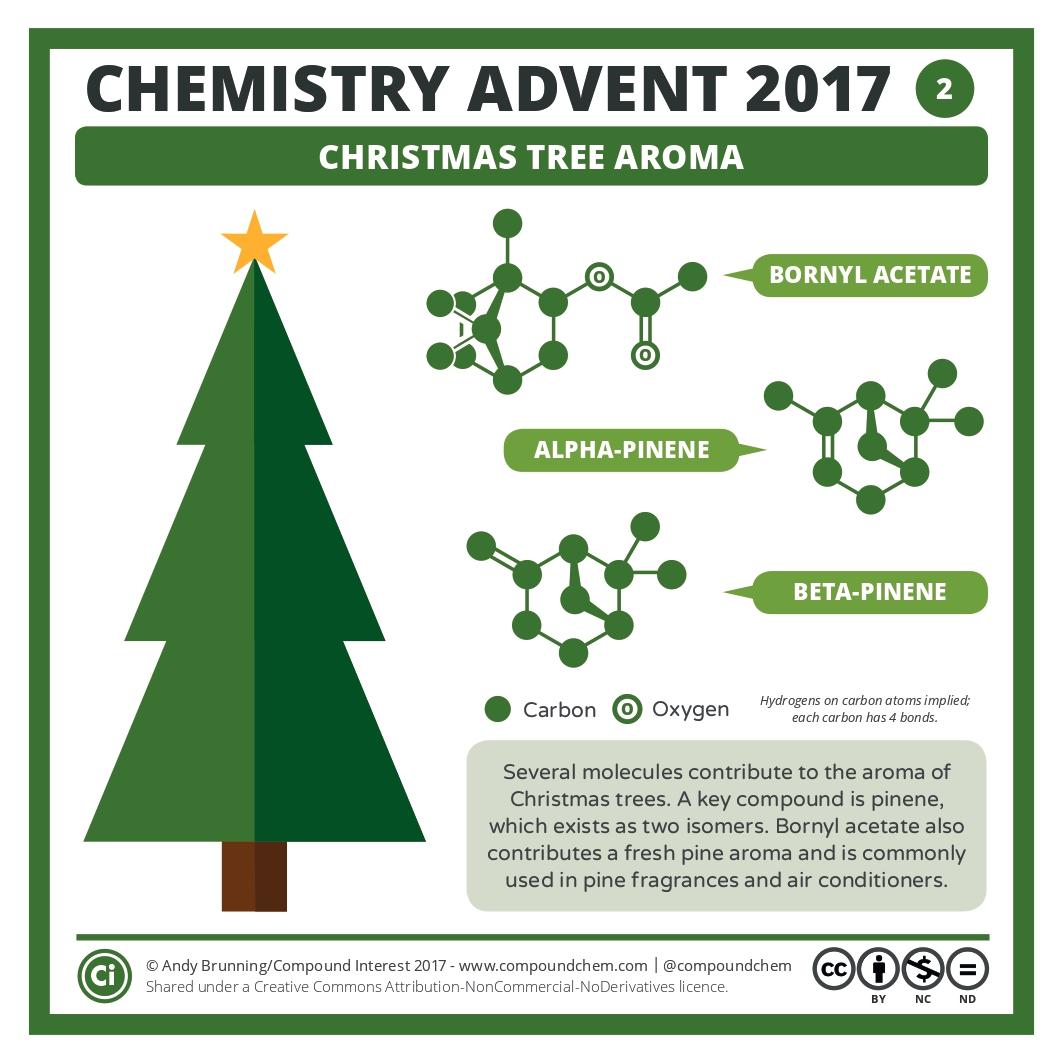 María Pin Nó tweet media