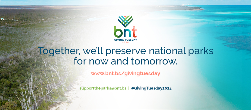 This #GivingTuesday2024, we have one major goal: raise $50k for the preservation of national parks, for now &amp; tomorrow. It's not too late to make your gift count. Stand with us to honor &amp; preserve these natural treasures! Donate now @ bnt.bs/givingtuesday! #togetherwegive