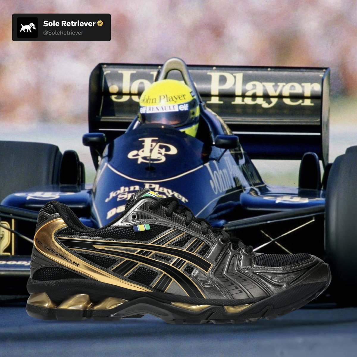 Sole Retriever tweet media