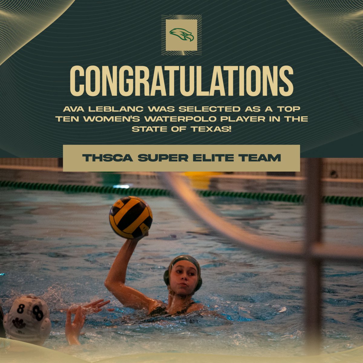 Cy Falls Aquatics tweet media