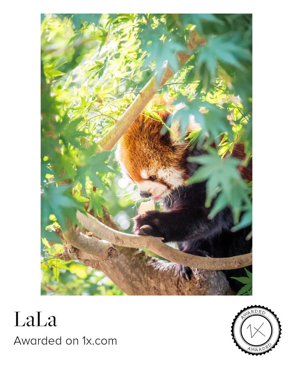 LaLa (@LaLa98256) / Posts / X