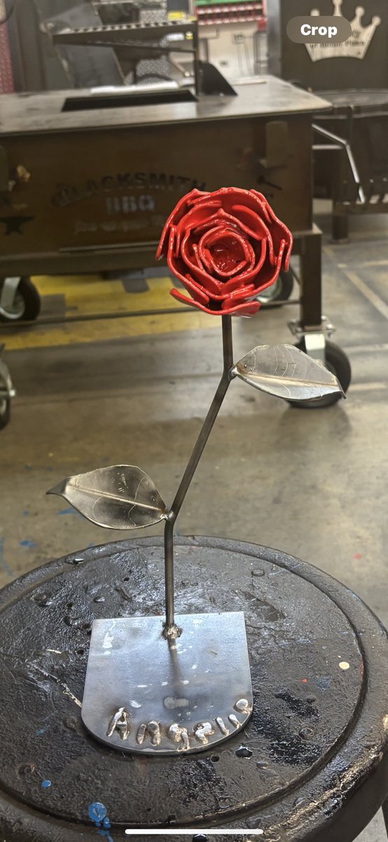 Mike Johnston tweet media