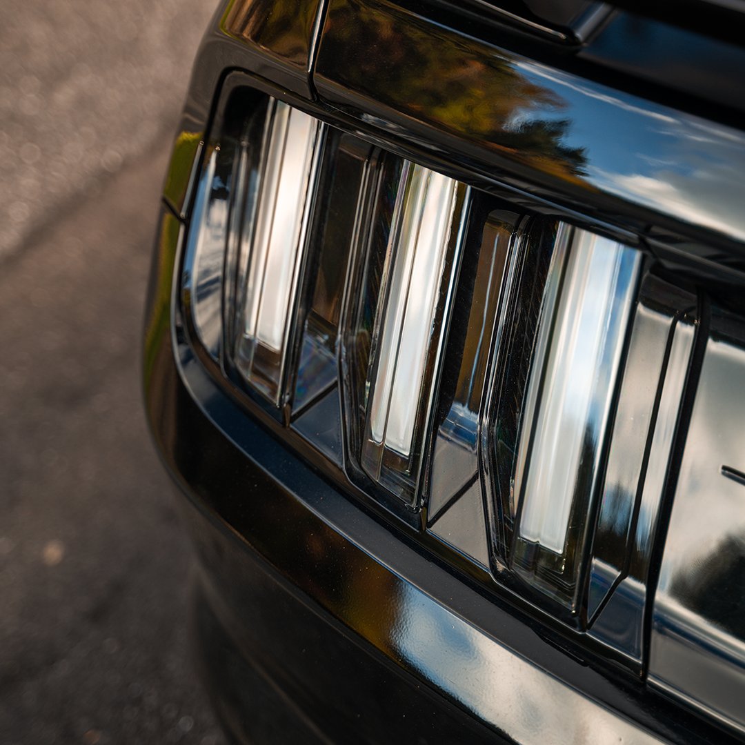 Dane Shuler tweet media