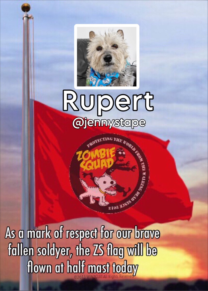 Rupert (Rupes) had a personality as big as the moon - together with his bestie Norman, the #BovverBoys terrorized zombies, destroyed most of their mumz under crackers &amp; made all of us laugh. We know the noggy egg is plentiful OTRB tonight. Please patrol with humor &amp;  joy in