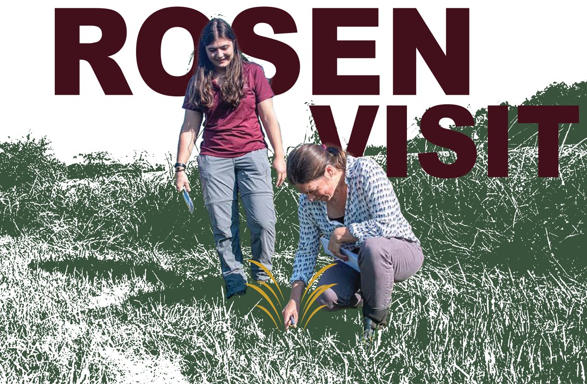 MSU Forest Resources (@msu_cfr) on Twitter photo 🌱 Big News from MSU! 🌱
Award-winning journalist Julia Rosen, known for her work in The New York Times and Science, visited <a href="/msstate/">Mississippi State</a> to dive deep into the battle against cogongrass, one of the Southeast’s most invasive plant species!
📰 Read more
msstate.edu/newsroom/artic… 🌱 Big News from MSU! 🌱
Award-winning journalist Julia Rosen, known for her work in The New York Times and Science, visited <a href="/msstate/">Mississippi State</a> to dive deep into the battle against cogongrass, one of the Southeast’s most invasive plant species!
📰 Read more
msstate.edu/newsroom/artic…