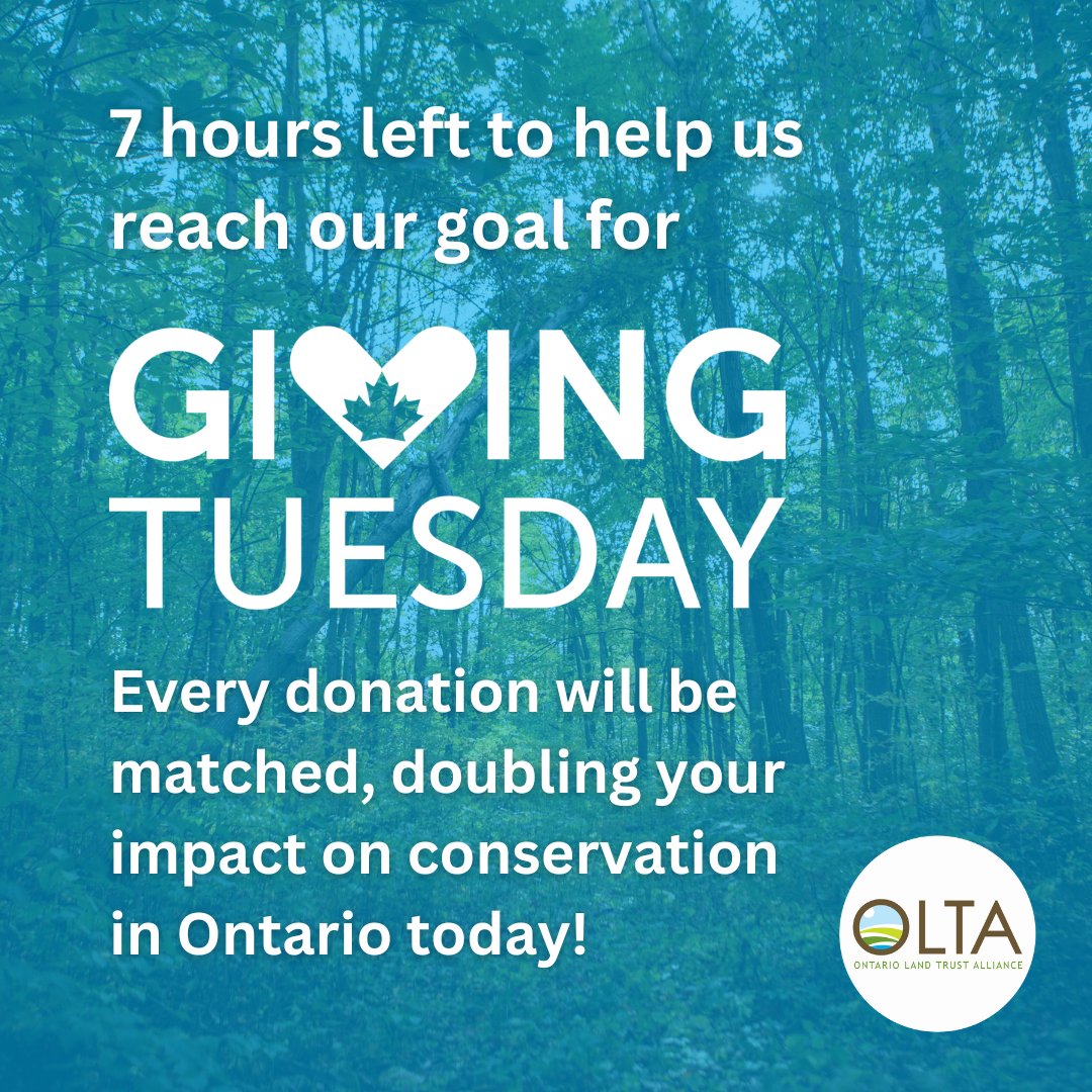 🌿✨ We’re so grateful for the amazing generosity today – many donors have stepped up to protect Ontario’s lands!

With just 7 hours left, we’re  30% (or, $1,500) away from our $5,000 #GivingTuesday goal! 🚨

canadahelps.org/en/dn/123915

#Conservation #GivingTuesday2024
