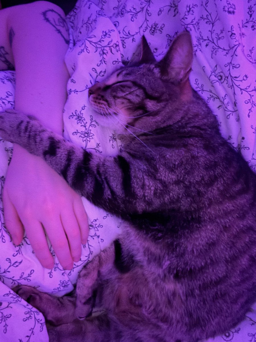 he shrimpin