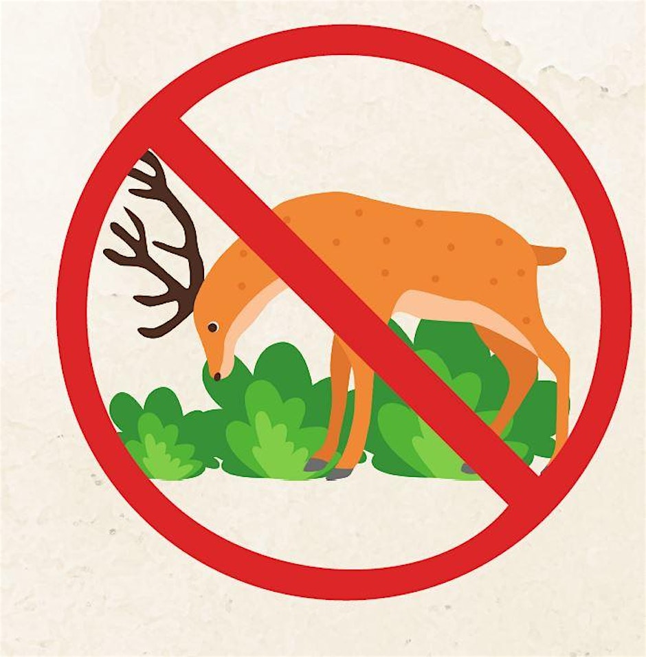 #gardeningwithdeer #easthamptonlibrary #cornellcooperativeextension 
eventbrite.com/e/gardening-wi…