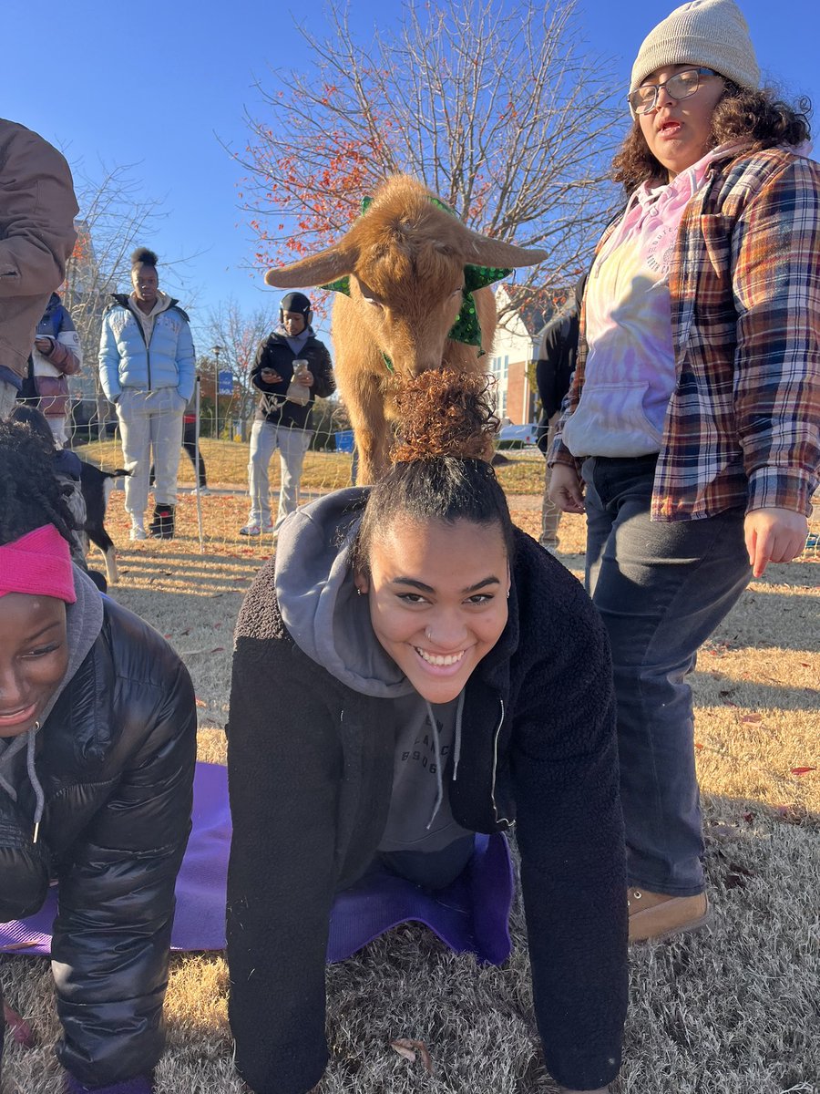 FunWithGoatsss's tweet photo. Thank you to everyone who came out to https://t.co/IB5cONuxkS Goat Yoga @Elizabeth City State University!!
❤️🐐🧘‍♀️

#fypシ #FunWithGoats #goatyoga #goatlife #GoatAdventures #babygoats #goats #goatsofinstagram #goatsincostumes #funwithfriends #elizabethcity #elizabethcitync #live https://t.co/X08ZmZefY6