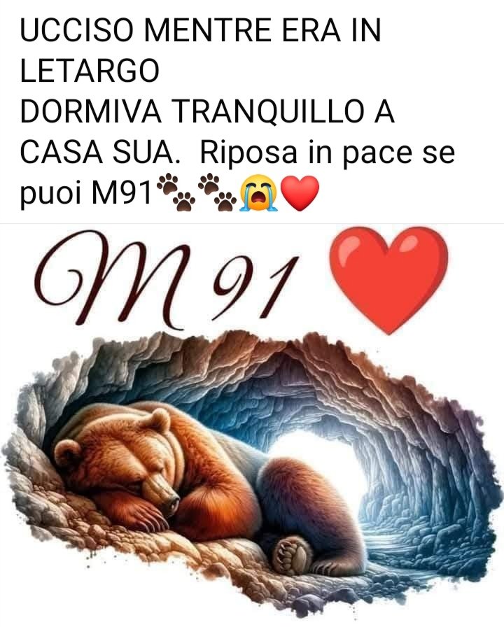 paola_chiarore's tweet photo. #M91 #trentino #TRENTINODADENUNCIARE la #VERGOGNA d'Italia #FugattiDimettiti https://t.co/0SqNpwWATM