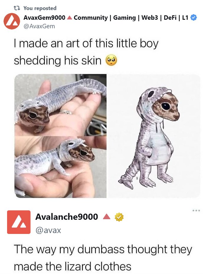 AvaxGem9000🔺 tweet media