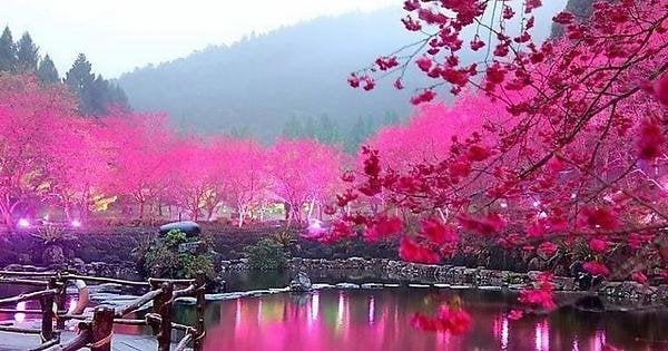 heddyisa92's tweet photo. @MondainDan @ersu1880 @Arlindo34000926 @afterdan2 @casimiroperezc1 @AngeJolie_Fan @christo18871815 @halconavicencio @SalvatoreAmour @ProudAFAmerican @oksana_glamour @karolg @G0eZuP0lJw82085 @datsyuklover @gunnarssonmker1 @junona2 @EvilDoma @AngelBlue_5 @Angeles3510M @Annie22462736 @_e1_e @ereditsh @HaileeSReal @KariJoys @OficialNara_Br @veritebeaute @Joanna85813079 @ro_sa_alb @_MaryEly_ @MetaUnted @MarinaEle23 @NastiaPav @vilaandrealili1 @GatherCAST @XenaAguerreiraP @MariFa05 @FanstarSelena @KarolGWW @SoazQuem @nbea_h @zzairasantos @ti https://t.co/irsbuJpP5z