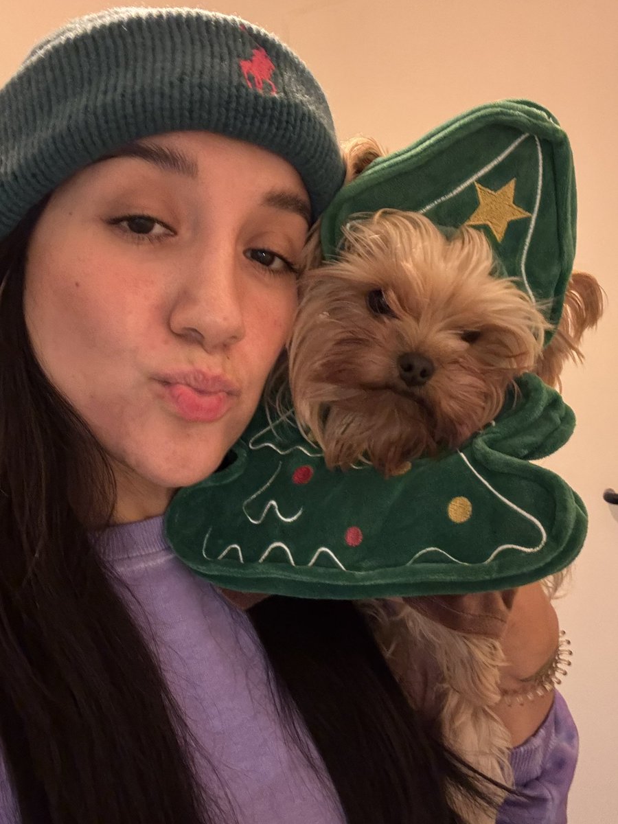 MarisolToMe89's tweet photo. Ya puse mi arbolito 🎄 Yingun Bels https://t.co/Lf3ZWmUcAG