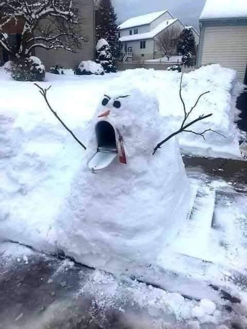 Fun with the mailbox after the first snow 😂