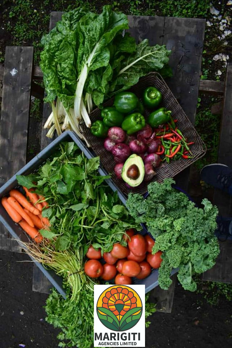 MarigitiAg's tweet photo. #Election2024 
Vegetables Delivery 
Eat healthy for a better tomorrow https://t.co/MGw4tbt4MN