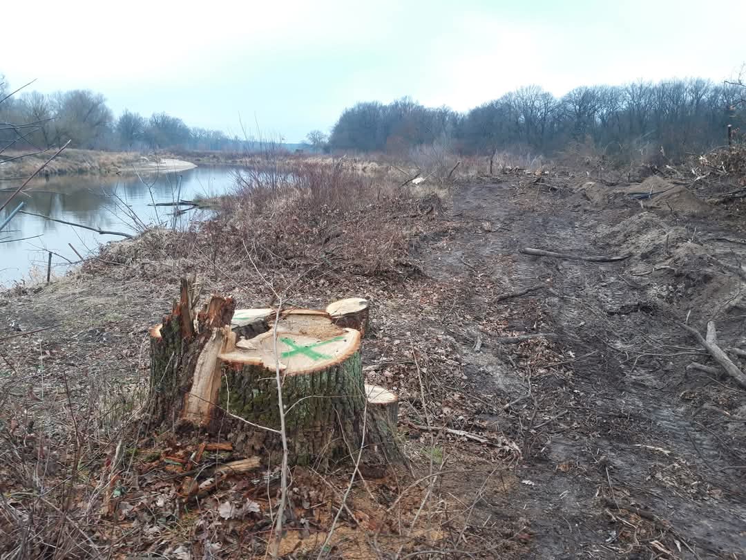 Michał Żmihorski tweet media