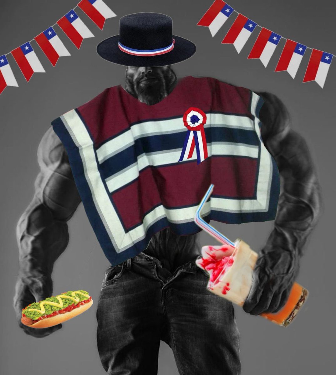 ZN 🇨🇱 tweet media