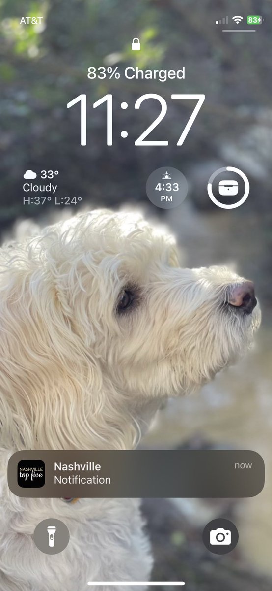 Annnnnd just added <a href="/onesignal/">OneSignal</a> to our Nashville Zoo app for push notifications🔥

Going to submit this to Apple.