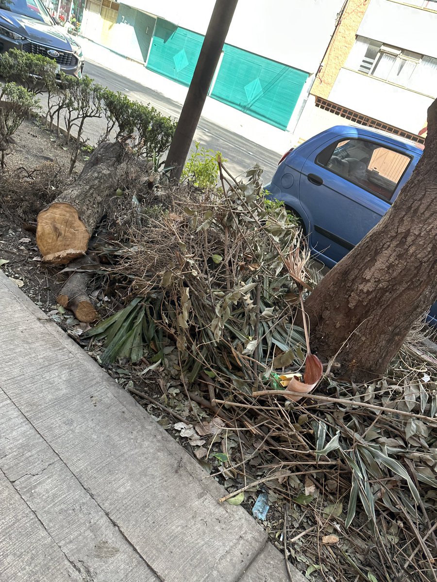 El cinismo de “La esperanza 757” que deja las pruebas de su #ecocidio frente a su construcción, donde aún se sigue trabajando sin preocupación alguna.
Esto ya fue denunciado ante la <a href="/PAOTmx/">PAOT</a> hace una semana. Esperemos pronta respuesta.
<a href="/GobCDMX/">Gobierno de la Ciudad de México</a> <a href="/BJAlcaldia/">Alcaldía de Benito Juárez</a> <a href="/LuisMendozaBJ/">Luis Mendoza Acevedo</a>