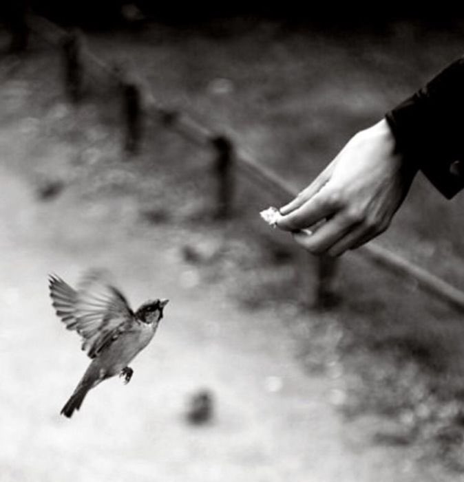 Bazı insanlar…

Bazen insanlar…