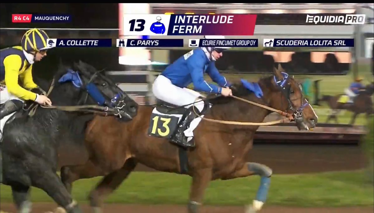 Fincumet Group Oy:n omistama 6-v ori Interlude Ferm aloitti Ranskan Mauqueunchyssa komealla 10800€:n arvoisella Monté-voitolla. Aika oli 15,1 2875 metrin voltista.

Lokakuussa ori sijoittui Porissa toiseksi vain niukasti hävinneenä SE:n juosseelle Mandela Zonille.
#ravit