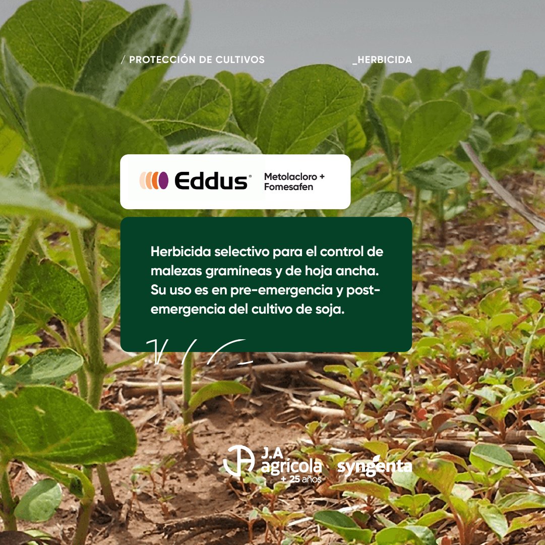 Cuándo aplicar EDDUS ?
☝🏼Su uso es en pre-emergencia y post-emergencia del cultivo de soja 🌱
Herbicida selectivo que controla malezas gramíneas y de hoja ancha
#ProtecciónDeCultivos 🛡🌱
Es de <a href="/Syngenta_ar/">Syngenta Argentina</a> y lo tenemos 🙋🏼
#JAAgrícola te acompañamos en cada momento productivo!