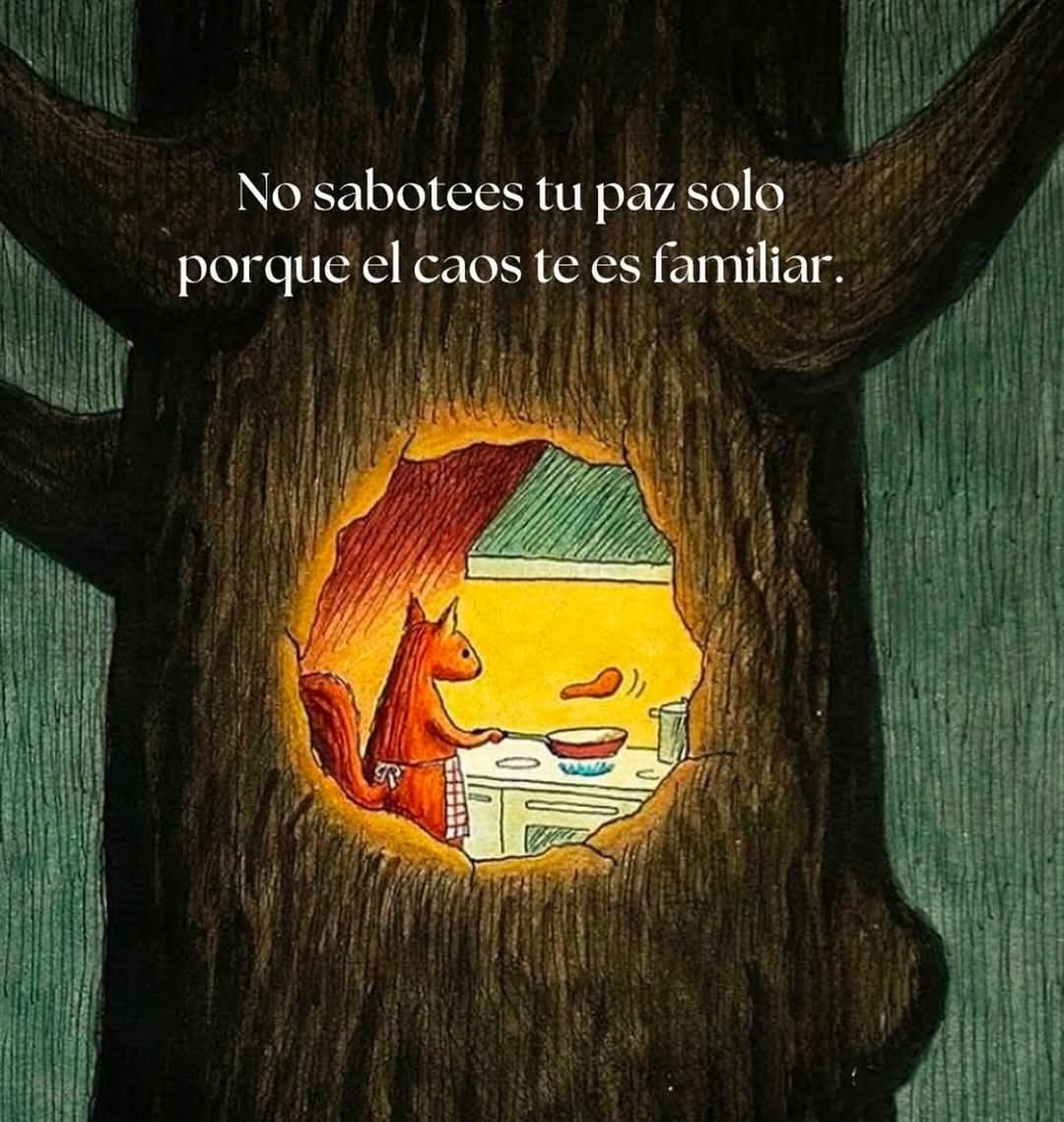 ire_nef's tweet photo. No eres tú, es el trauma
#trauma #Psicologia #comunicacioneficaz https://t.co/4ifRGIoQVn