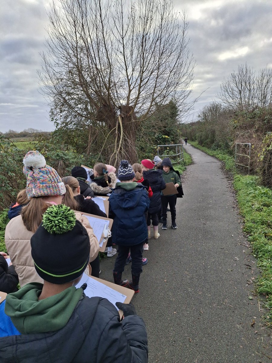 Year 4 IJS tweet media