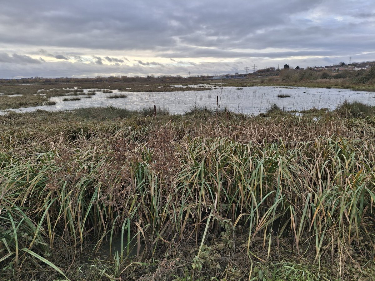 Year 4 IJS tweet media