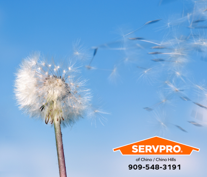 SERVPRO_Chino's tweet photo. When your home or commercial business in Vellano has a storm damage emergency, our local teams in Chino/Chino Hills will restore the damage “Like it never even happened.” Call us today at (909) 548-3191. https://t.co/3ja5YOrqzv