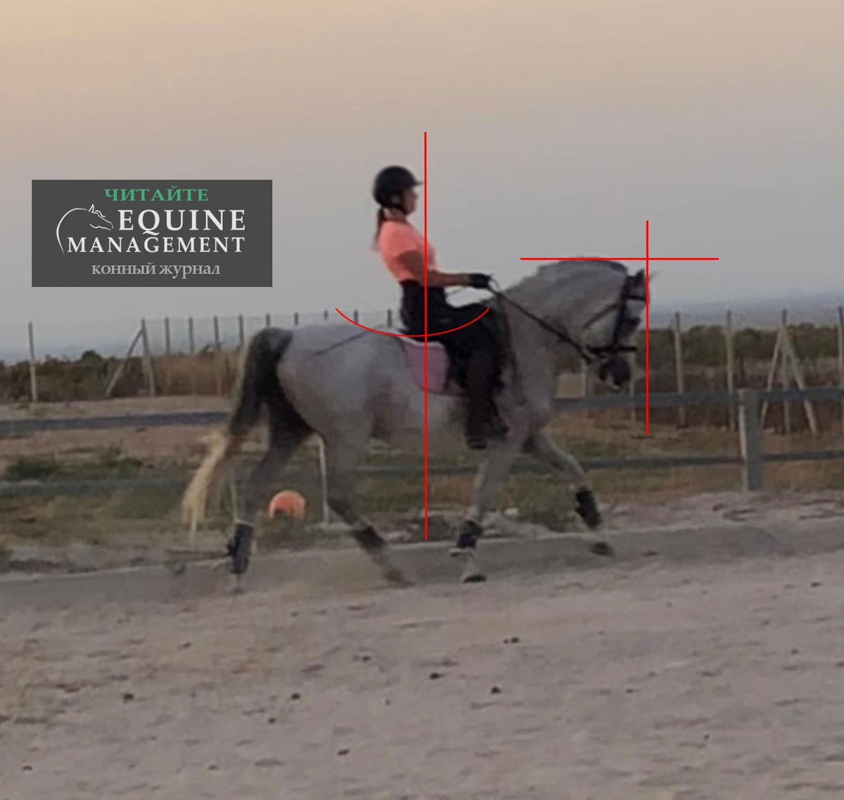 equinemanage's tweet photo. И еще один пример того, как всадник отвалился назад и висит на руке. Посмотрите как сильно прогнута спина лошади, как ее шея "сломана" и нос за вертикалью. Как вы думаете, это лошадь в сборе? 
А как вы думаете, что по этому поводу думает всадник? https://t.co/QeIhCCs8ty
