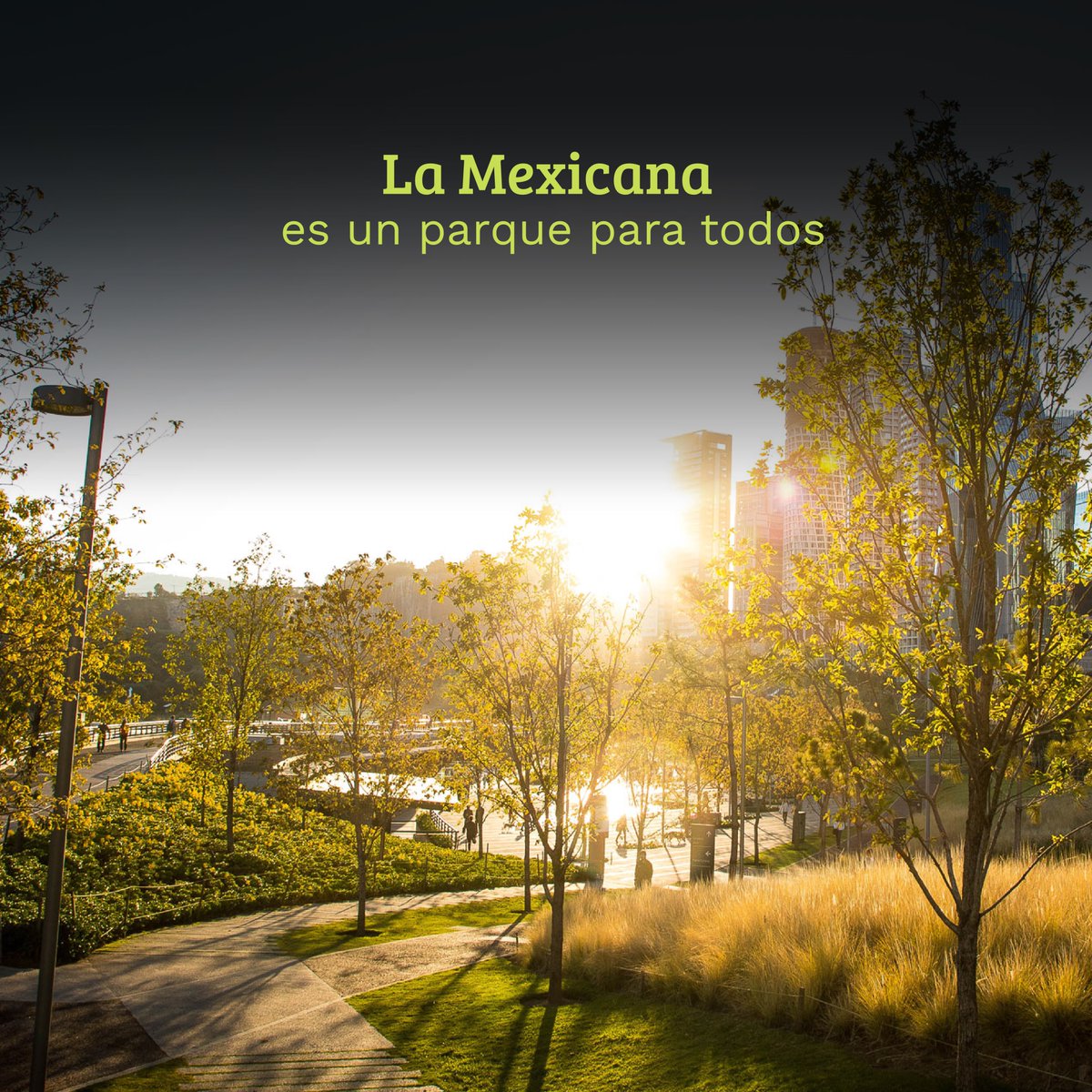 La inclusión no es solo un ideal, es un compromiso de todos.  En Parque La Mexicana celebramos un espacio diseñado para todos. 🌱💚
#lamexicana #parquelamexicana #cuajimalpa #cdmx #wheelchair #discapacitado #allthepeople #forallofus #ecologia #inclusive #us #todosjuntos #todxs