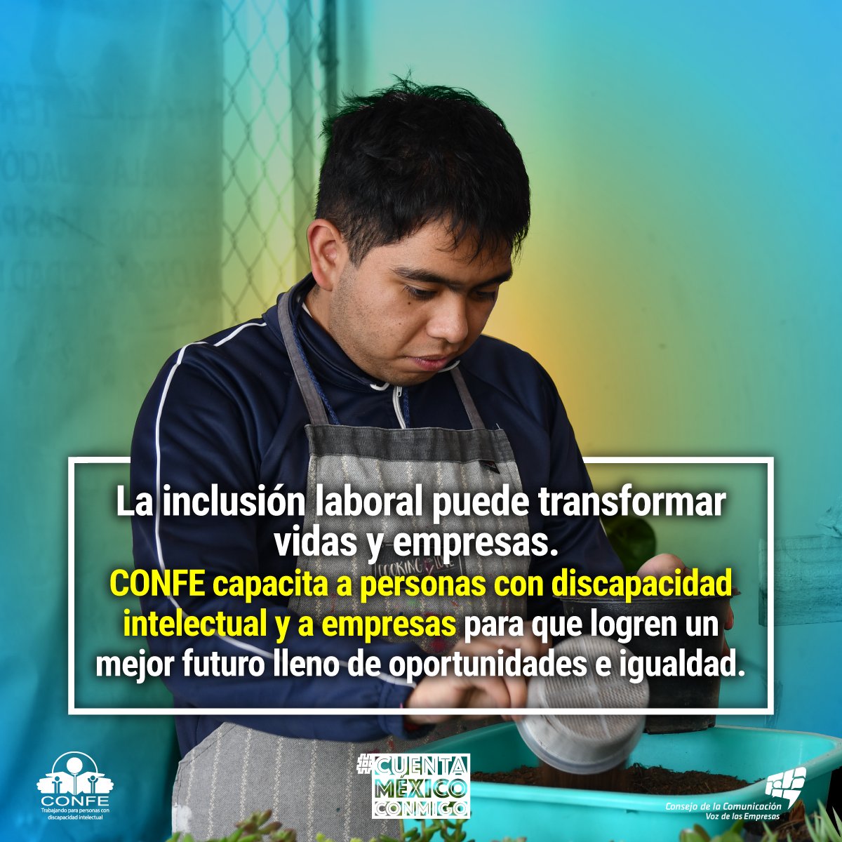 ConmigoMexico's tweet photo. Las personas con discapacidad también forman parte de la fuerza laboral. Conoce más en: https://t.co/AIPAhKE5ai #DíaDeLasPersonasConDiscapacidad #InclusiónLaboral #CONFEMx https://t.co/XI0yOrcXgX