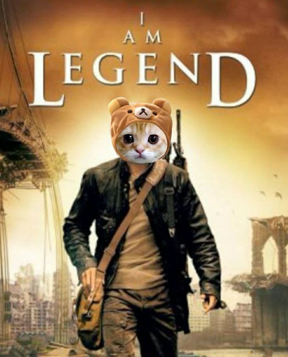 <a href="/JR5_Crypto/">JR5</a> How about a memecoin that exists almost a year and the community still keep pushing up until now? 😼🧢 Take a look at $CIF the OG Catwifhat <a href="/OGcatwifcoin/">CatWifHat</a>