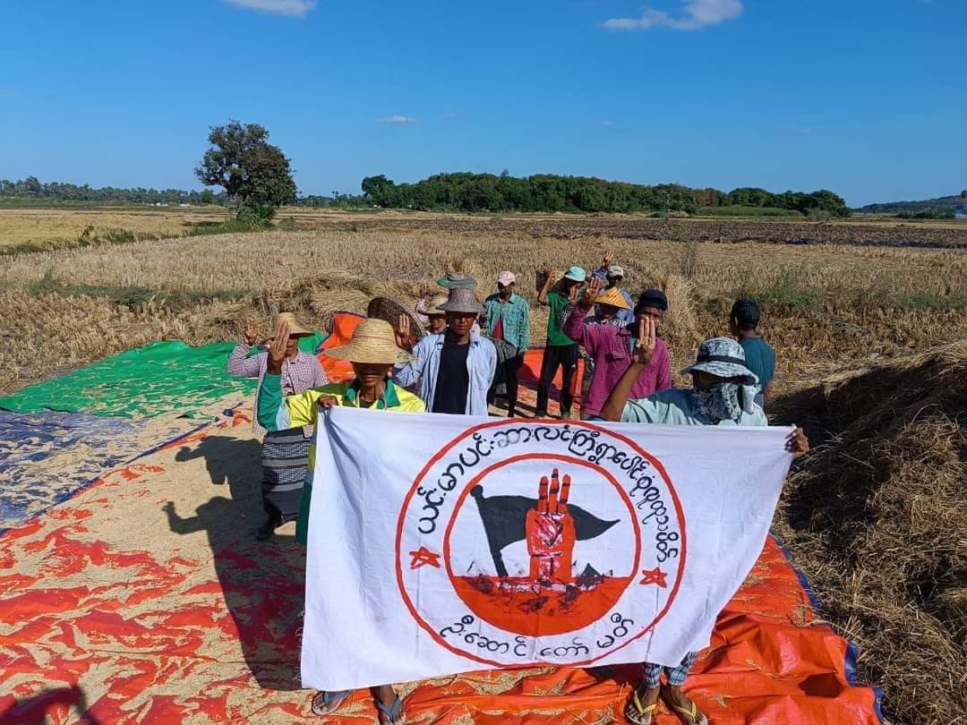 Little Activist tweet media