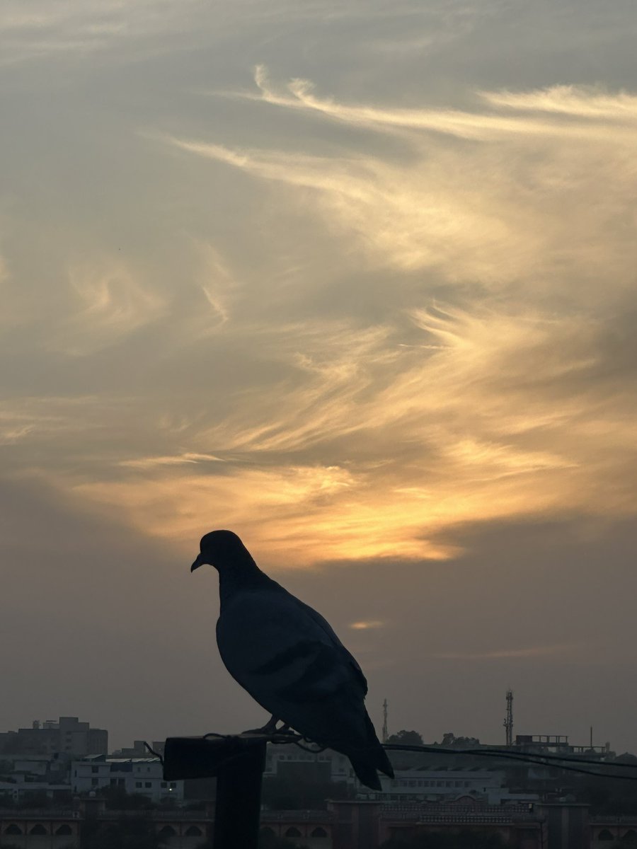 Tweet media two