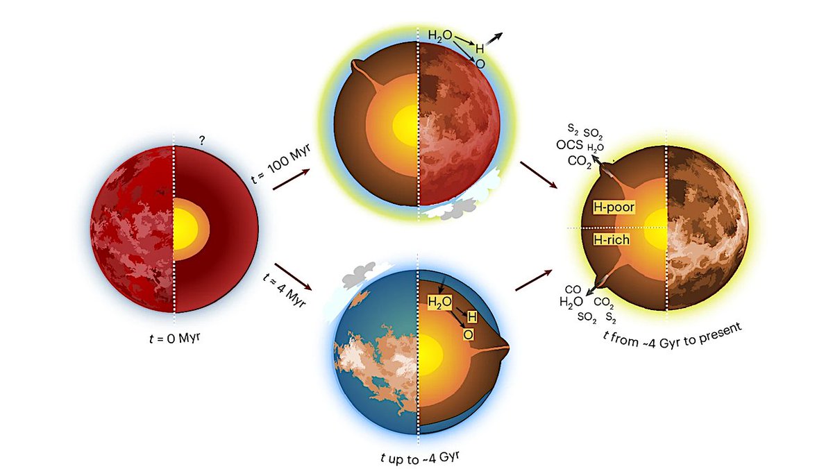 Research Suggests That Venus Never Had Liquid Water On Its Surface
astrobiology.com/2024/12/resear… #astrobiology #exoplanet #Venus #biosignature