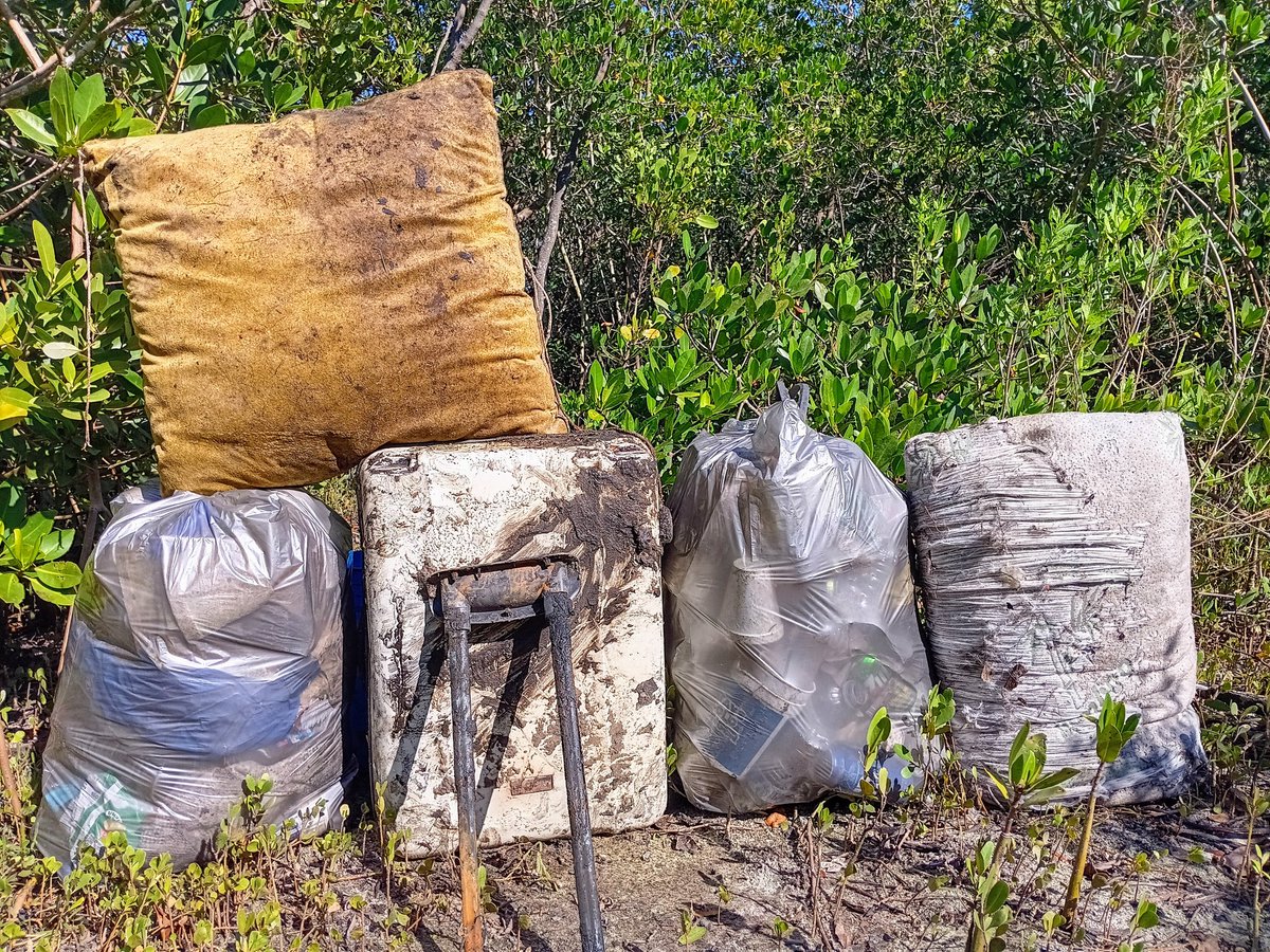TJRPitt's tweet image. Low tide on Clearwater's Stevenson Creek reveals all kinds of mistakes. Wasn't able to open this suitcase, but it was heavy, tough to remove, &amp;amp; had clearly been stuck in the mud awhile.
+ 2 Earthcleanup bags of Litter &amp;amp; 2 pillows while enjoying some cool beats🎧🎶😁