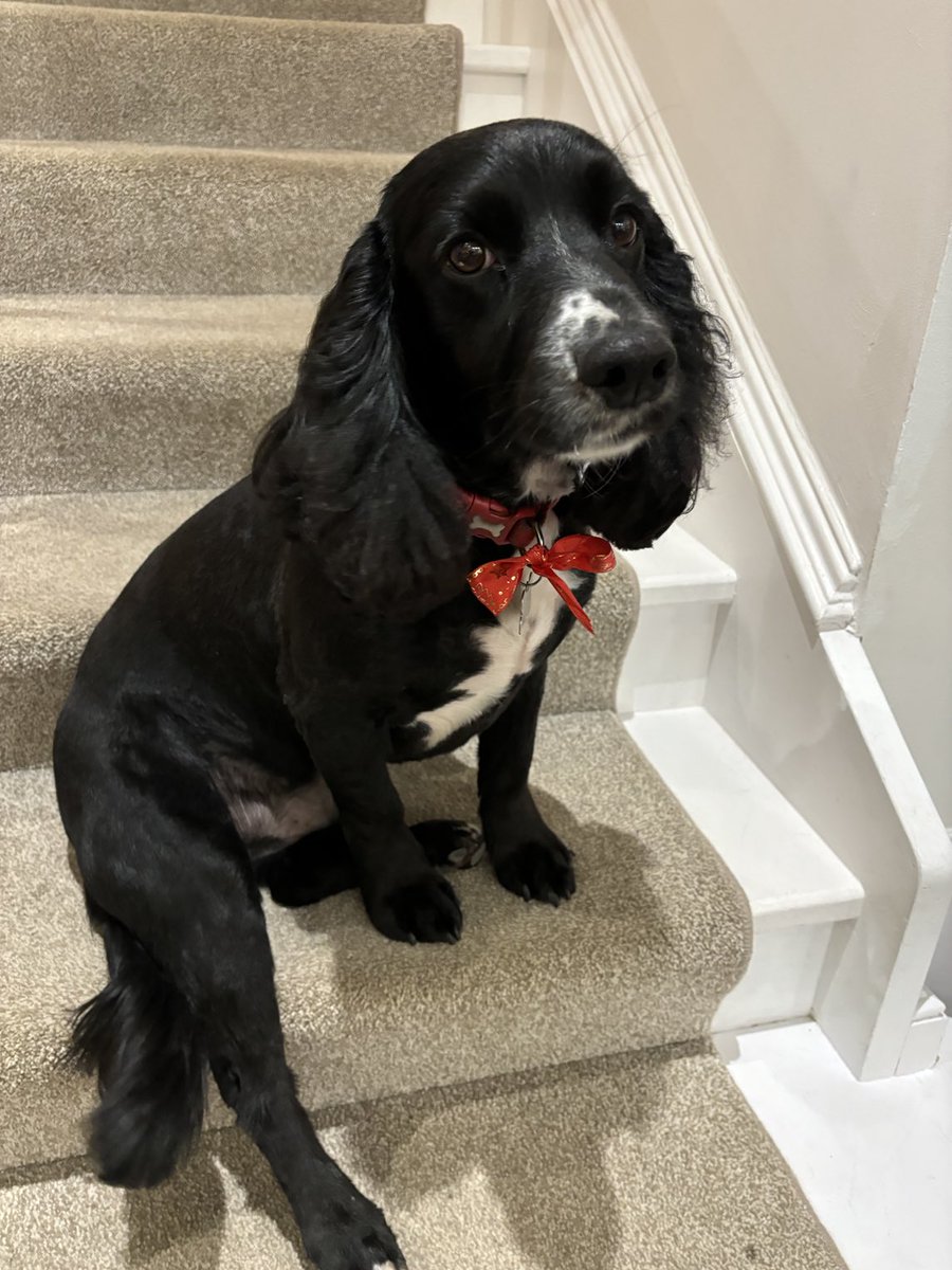 ContiniBites tweet media