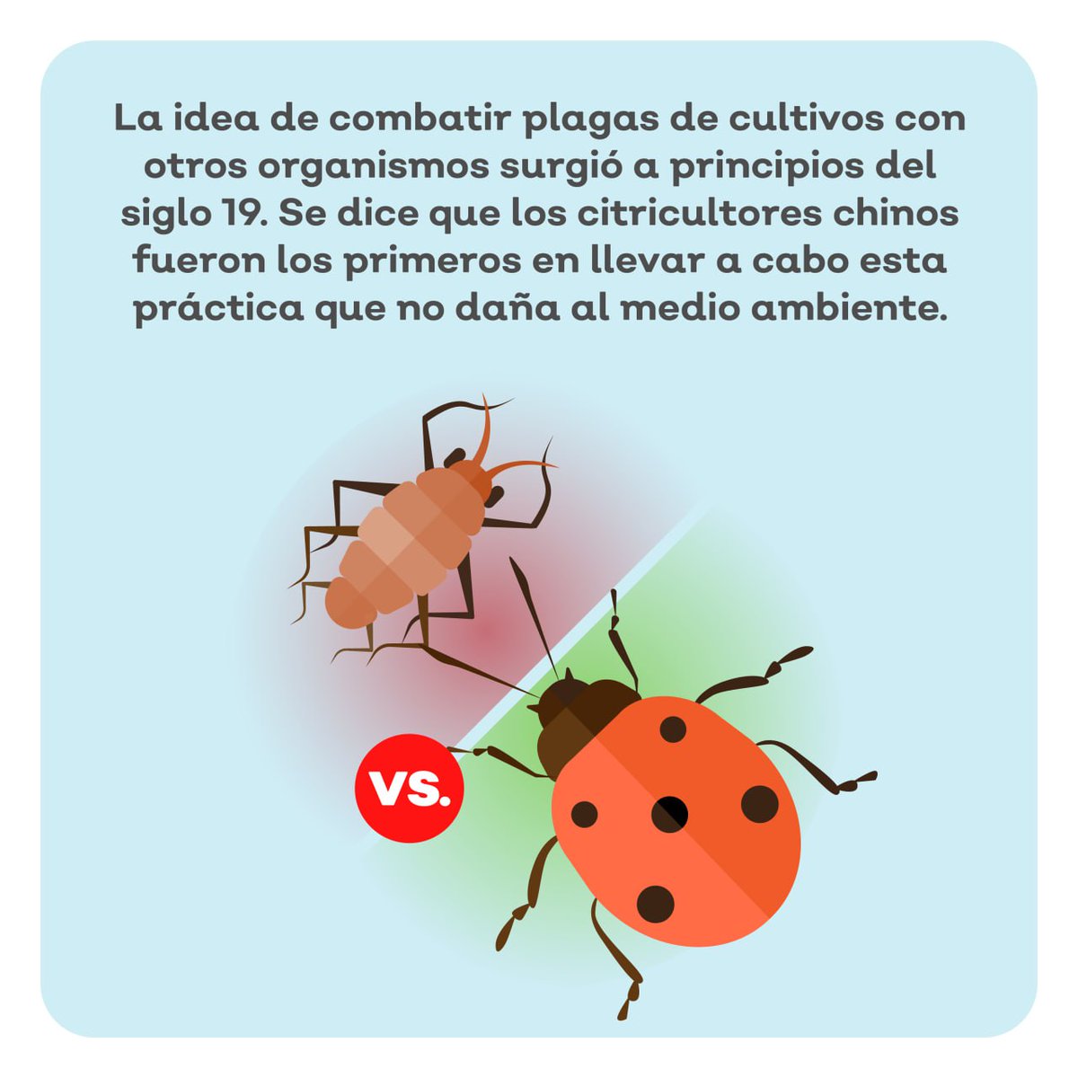 Sader Jalisco tweet media