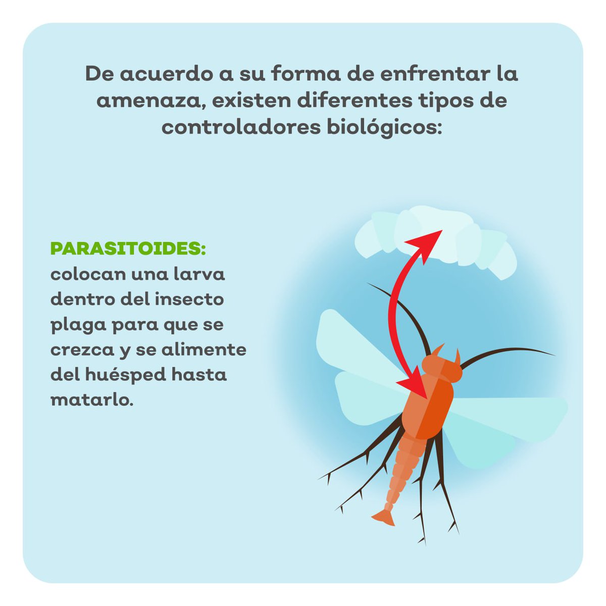 Sader Jalisco tweet media