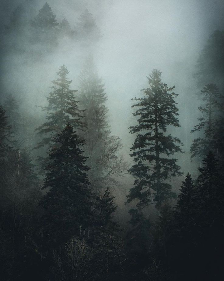 elemmiressoul's tweet image. cool weather.