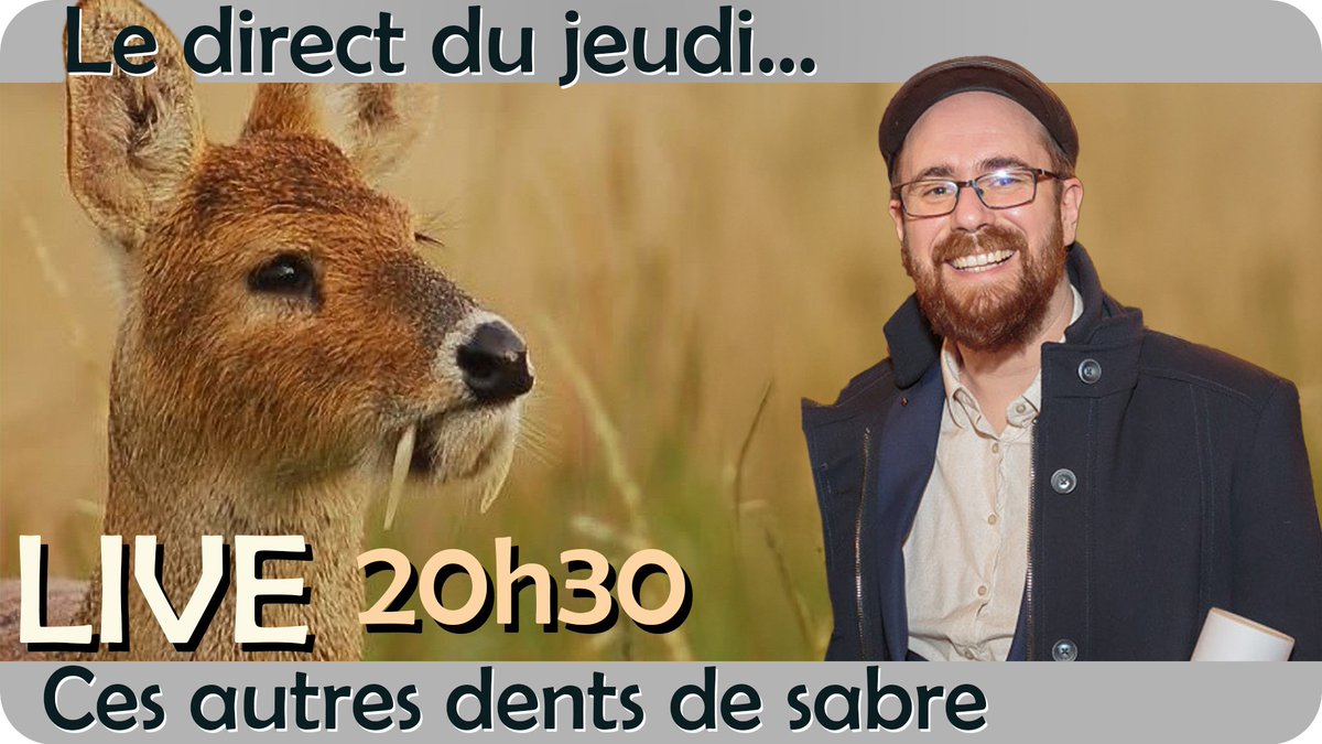 Bastien Mennecart (@mennecart_b) on Twitter photo Jeudi prochain 5 décembre, je donne une conférence en ligne avec <a href="/SimplexPaleo/">Simplex Paléo</a> sur ces autres dents de sabre. N'hésitez pas à venir voir et écouter.
facebook.com/events/5600151… Jeudi prochain 5 décembre, je donne une conférence en ligne avec <a href="/SimplexPaleo/">Simplex Paléo</a> sur ces autres dents de sabre. N'hésitez pas à venir voir et écouter.
facebook.com/events/5600151…