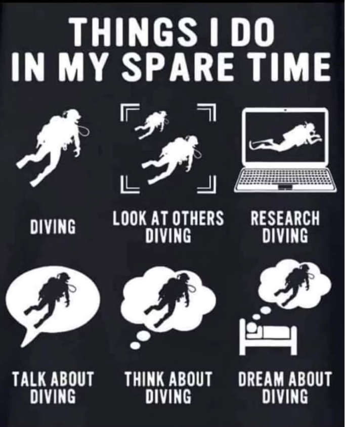 scubadivingyard's tweet photo. Picture speaks itself 🤗
.
.
.
.
.
#scubanerds #scubaaddict #scubadivingaddicts #scubadivinggirls #scubadivinginternational #scubadivingislife https://t.co/WTlxo9S0gn