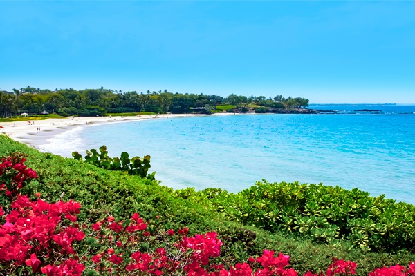 Mayo Clinic Med Ed (@mayomeded) on Twitter photo Endocrine Update 2025 is open for registration! Join us in beautiful Hawaii (or via livestream) on February 3-7 to learn the latest in evaluation and management of complex and common endocrine disorders. <a href="/MayoClinicEndo/">Mayo Clinic Endocrinology</a> mayocl.in/3Zm7K2Y Endocrine Update 2025 is open for registration! Join us in beautiful Hawaii (or via livestream) on February 3-7 to learn the latest in evaluation and management of complex and common endocrine disorders. <a href="/MayoClinicEndo/">Mayo Clinic Endocrinology</a> mayocl.in/3Zm7K2Y