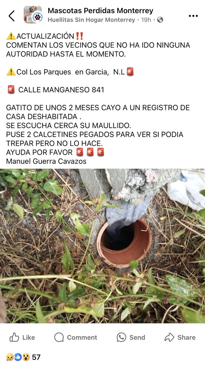 ahesgaby's tweet photo. @PC_NuevoLeon por favor ayuda 🆘 
Se ha estado esperando ayuda desde ayer. https://t.co/TlxvGqzWOy