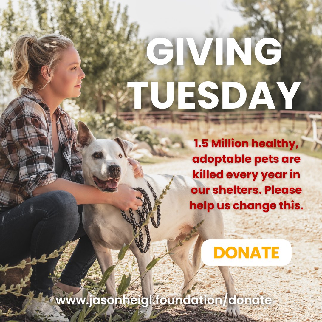 1.5M healthy, adoptable pets are euthanized in shelters every year. This #GivingTuesday, help us change that. Your donation supports adoption, spay/neuter programs, and transport to safe no-kill rescues. Together, we can save lives. Donate now: jasonheigl.foundation/donate